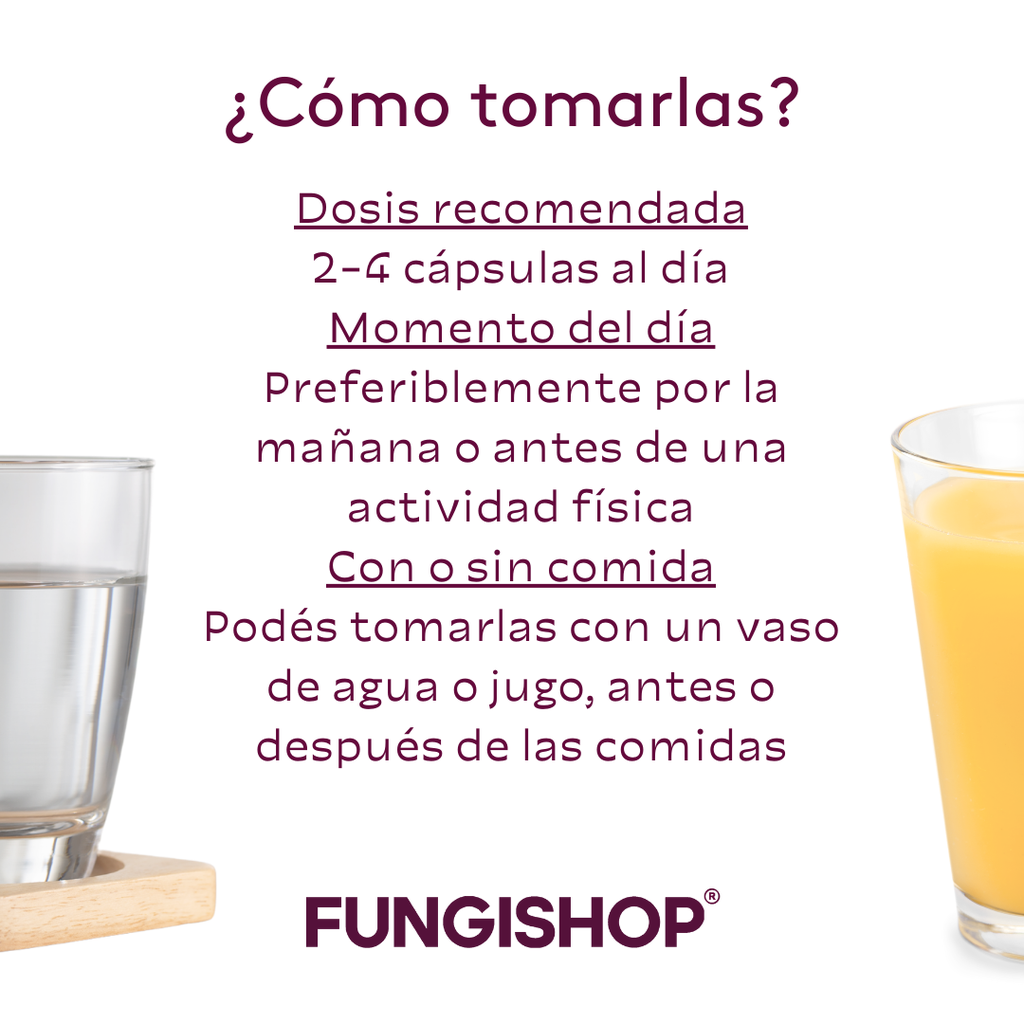 CORDYCEPS EN CÁPSULAS