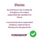 CORDYCEPS EN CÁPSULAS
