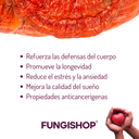 REISHI EN CÁPSULAS