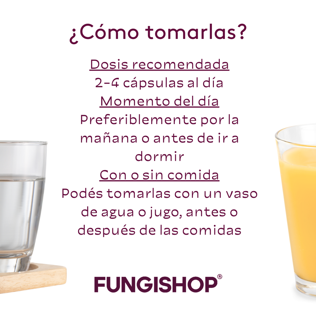 REISHI EN CÁPSULAS