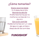 REISHI EN CÁPSULAS