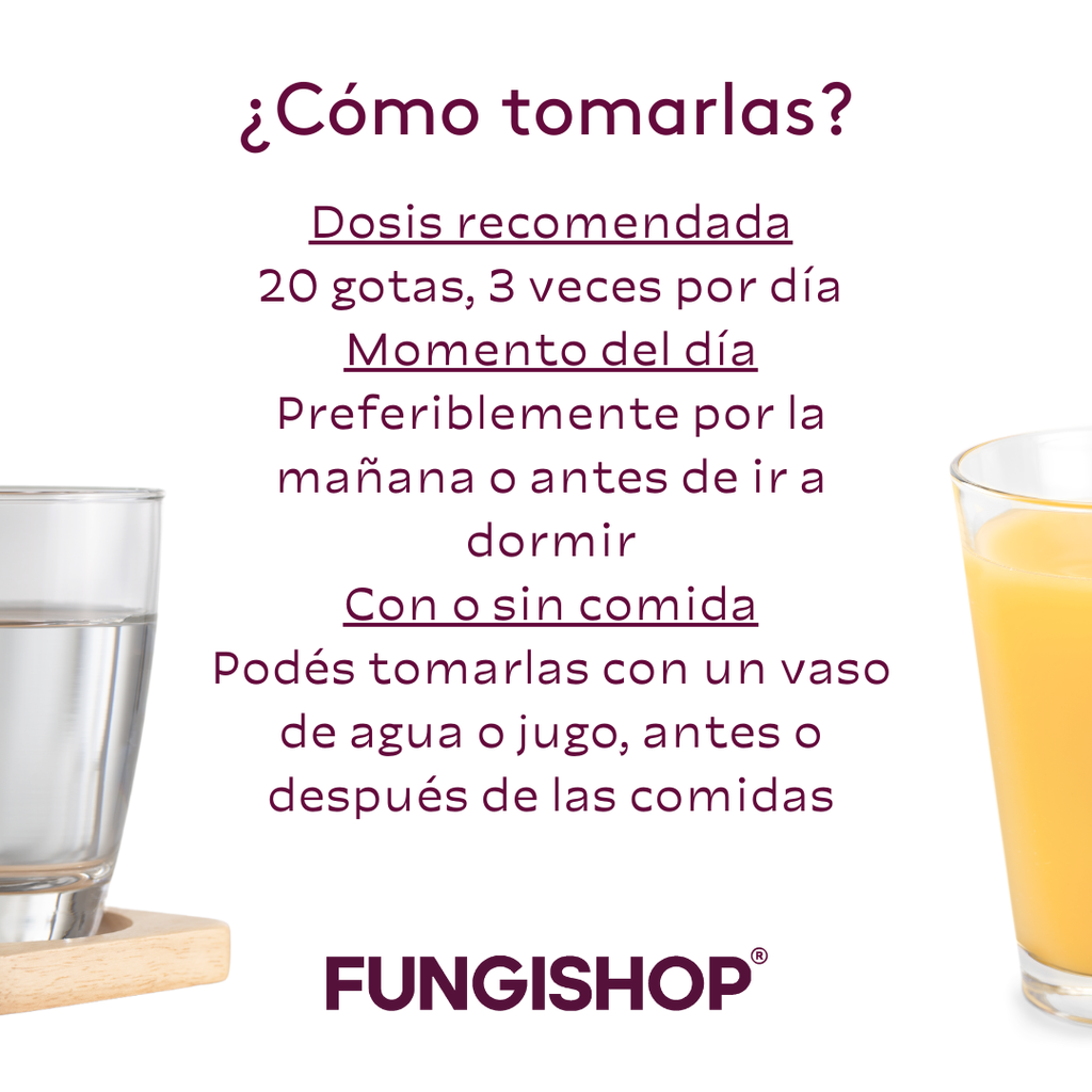 TINTURA MADRE DE REISHI