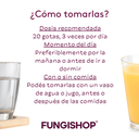 TINTURA MADRE DE REISHI