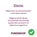 COMBO MELENA DE LEON X 2