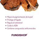 CHAGA MOLIDO