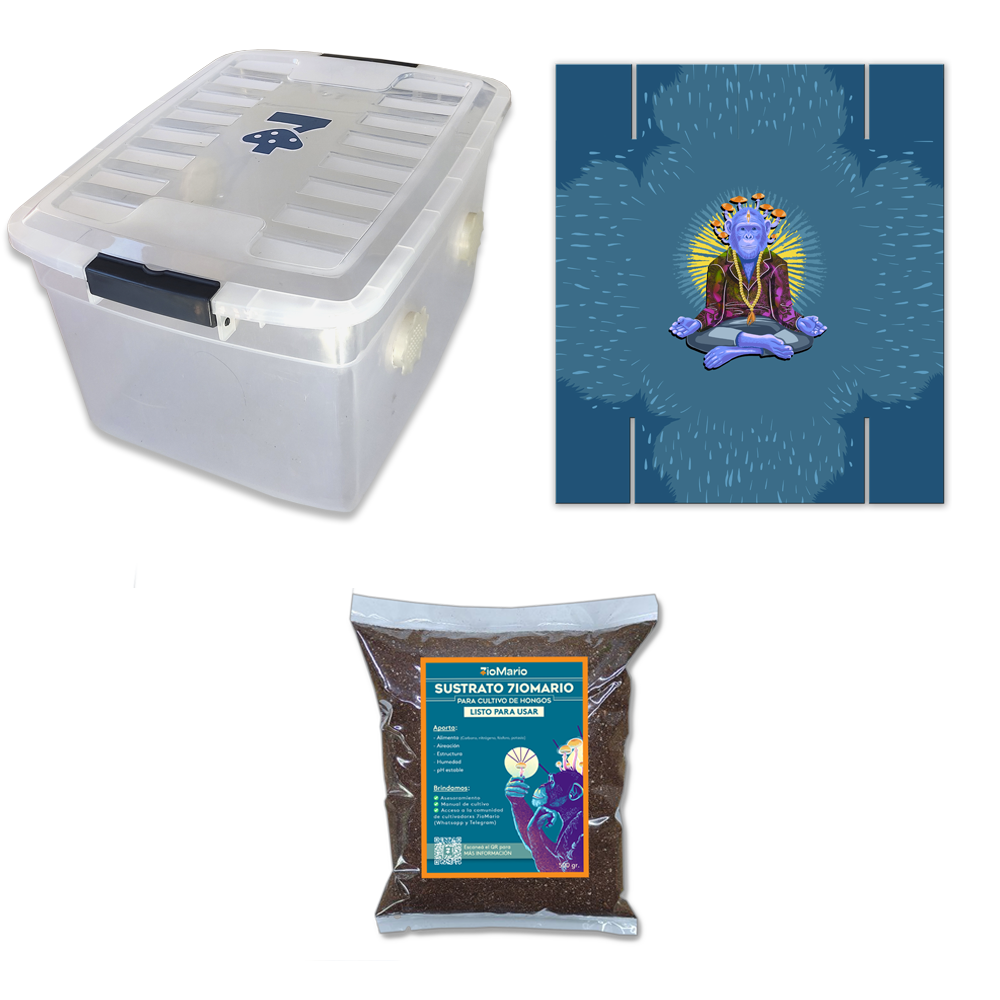 KIT ECO