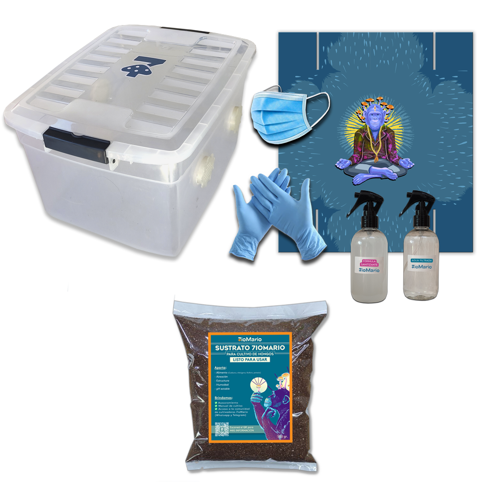 KIT SPORE