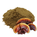 REISHI - 500 GR (MOLIDO)