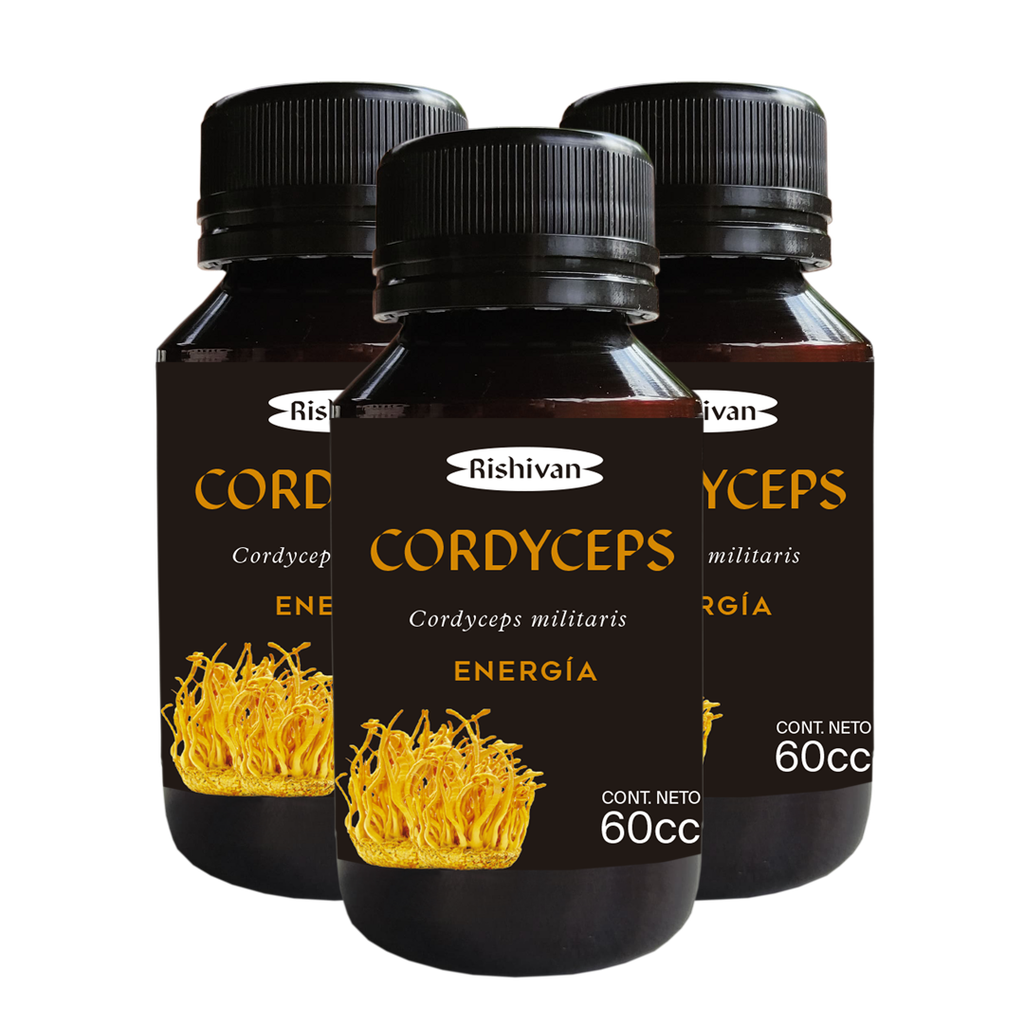 CORDYCEPS - PACK X 3