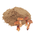HONGO DEL SOL - 1 KILO