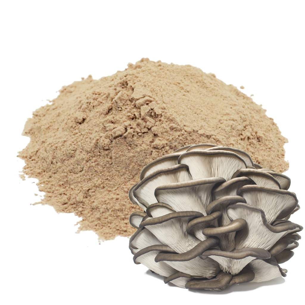 GÍRGOLA - 1 KILO