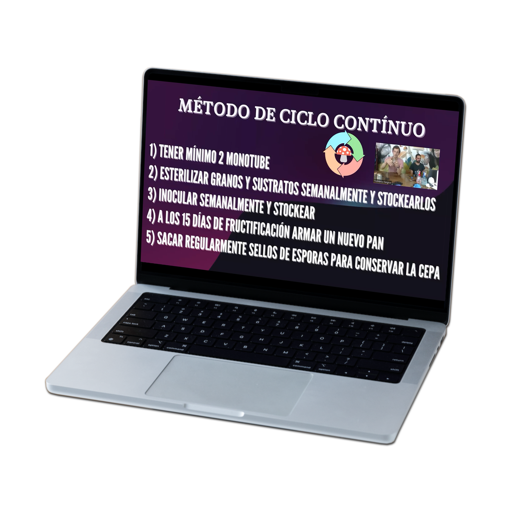 CURSO INICIAL