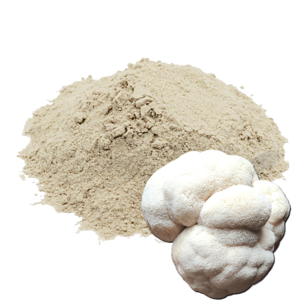 MELENA DE LEÓN - 1 KILO (MOLIDO)