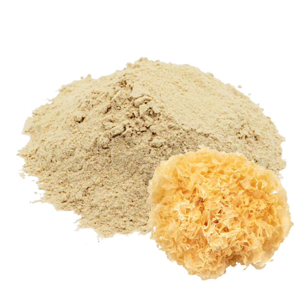 TREMELLA - 100 GR (MOLIDO)