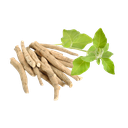 ASHWAGANDA - 1000 GR (MOLIDA)