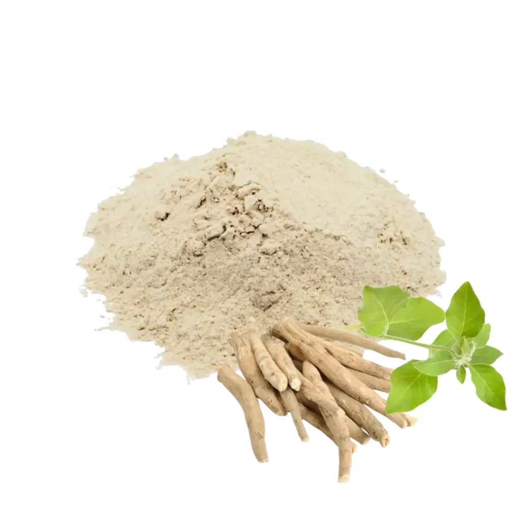 ASHWAGANDHA - 100 GR  (MOLIDA)