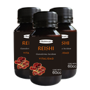 REISHI - PACK X 4