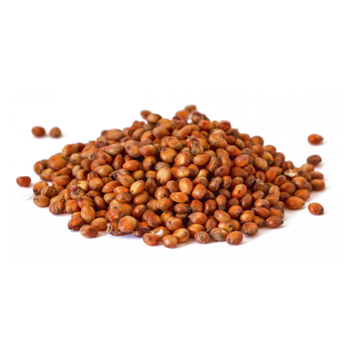 [GSO ES] SORGO ESTERILIZADO - 500 GR