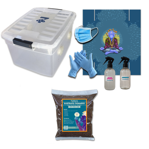 [KSPO] KIT SPORE