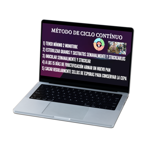 CURSO INICIAL
