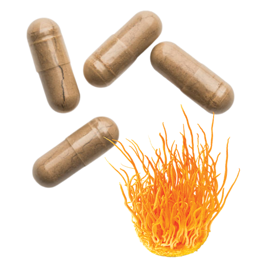 [CCOR60] CORDYCEPS EN CÁPSULAS (120 UD - 60 GR)