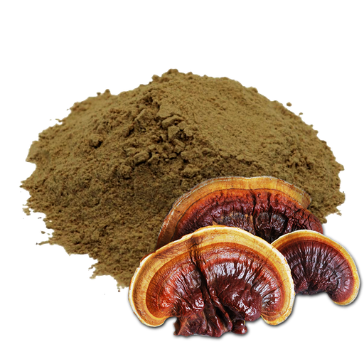 [HDGL1KM] REISHI - 1 KILO (MOLIDO)