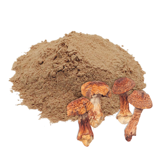 HONGO DEL SOL - 1 KILO