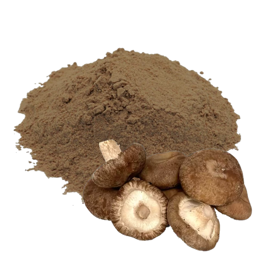 SHIITAKE - 1 KILO