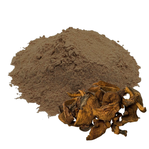 HONGO DE PINO - 1 KILO