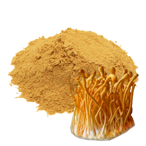 [HDCM1K] CORDYCEPS - 1 KILO (MOLIDO)