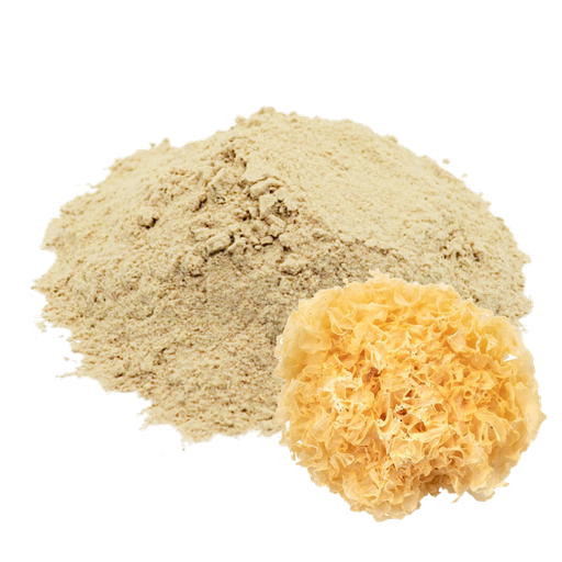 [HDTF100M] TREMELLA - 100 GR (MOLIDO)