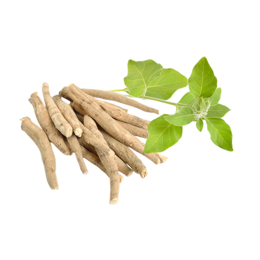 ASHWAGANDA - 1000 GR (MOLIDA)